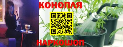 ALPHA PVP Будённовск